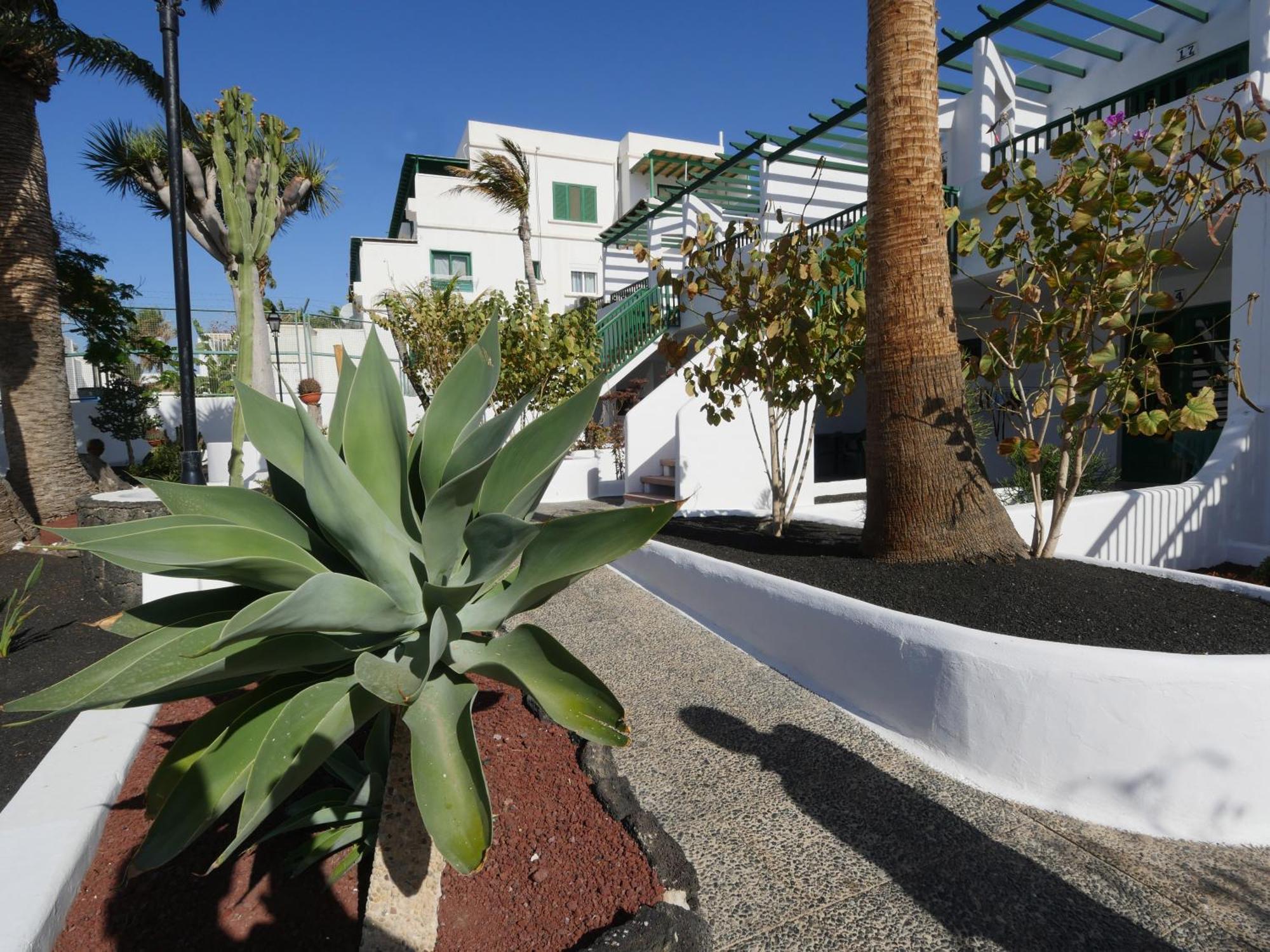 Appartamento Tropicana
